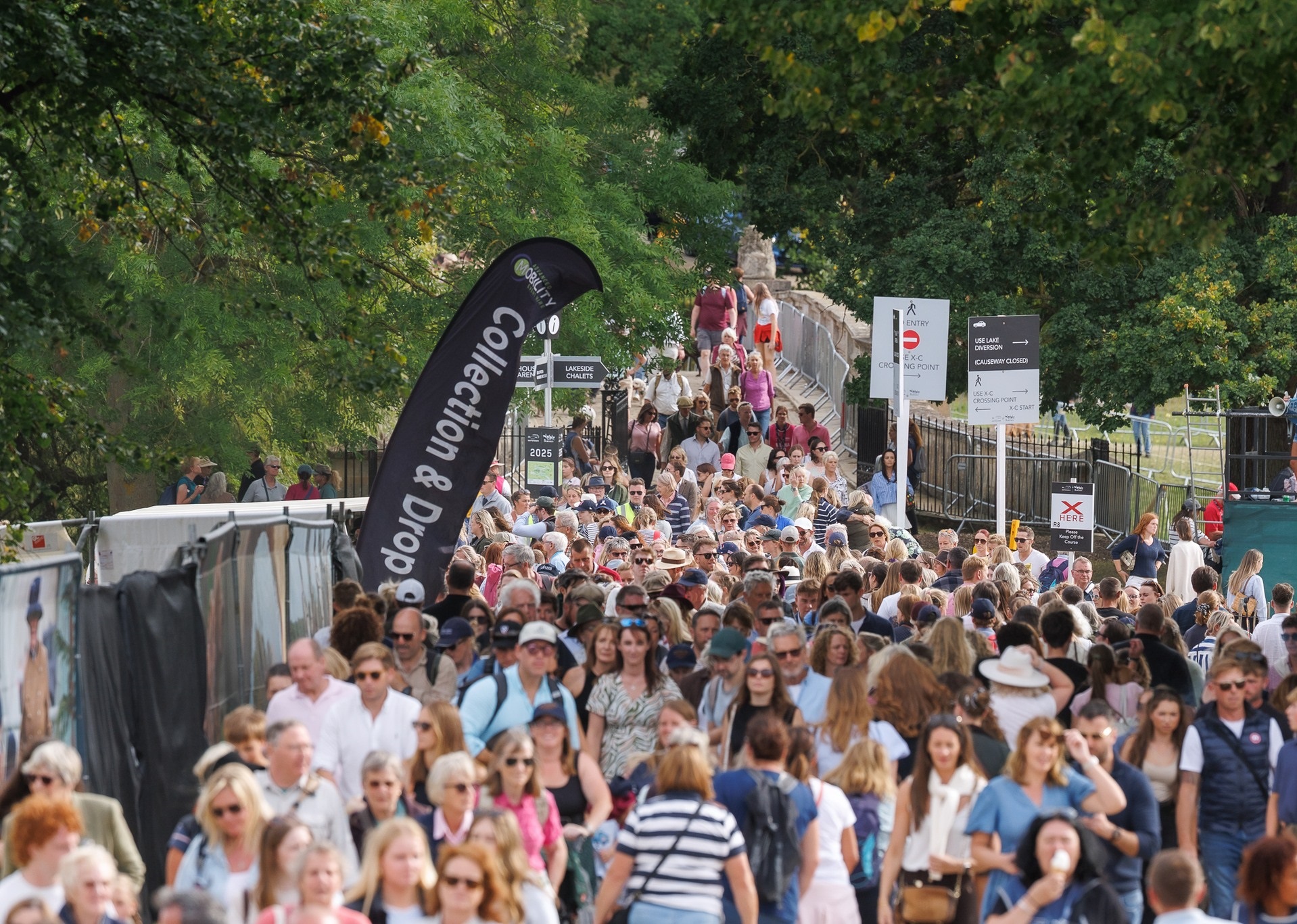 Veterinary care in action